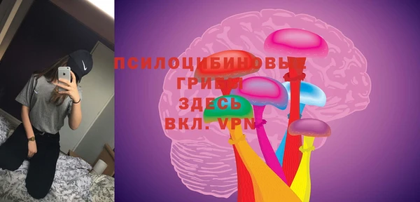 твердый Надым