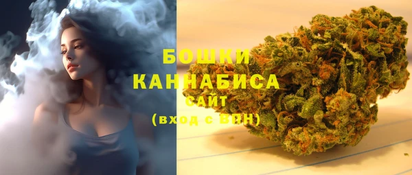 твердый Надым