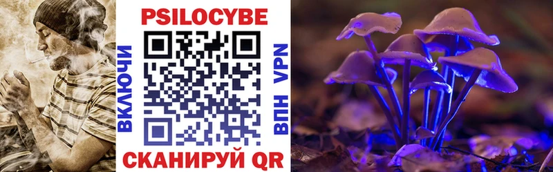 где найти   Безенчук  Псилоцибиновые грибы Psilocybine cubensis 